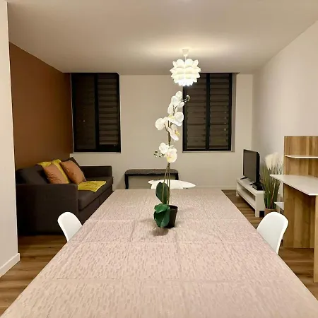 Apartmán La Loge D'ingres - T3 Center & Hospital *
