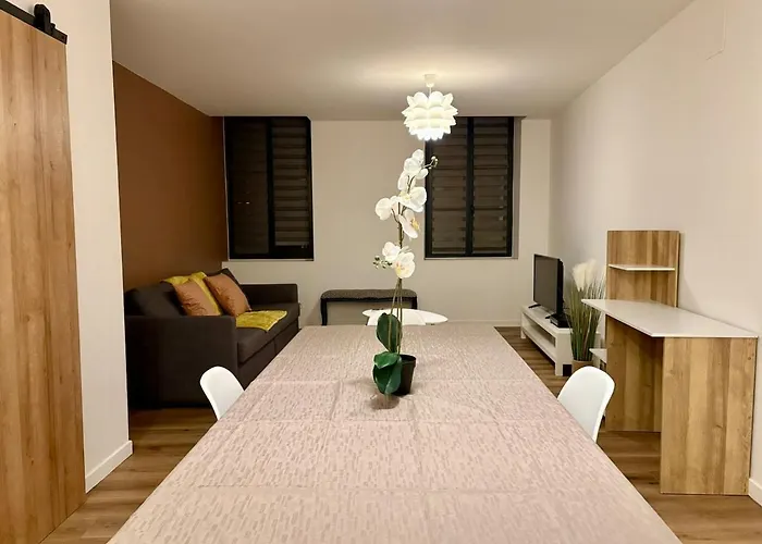 Apartmán La Loge D'ingres - T3 Center & Hospital *