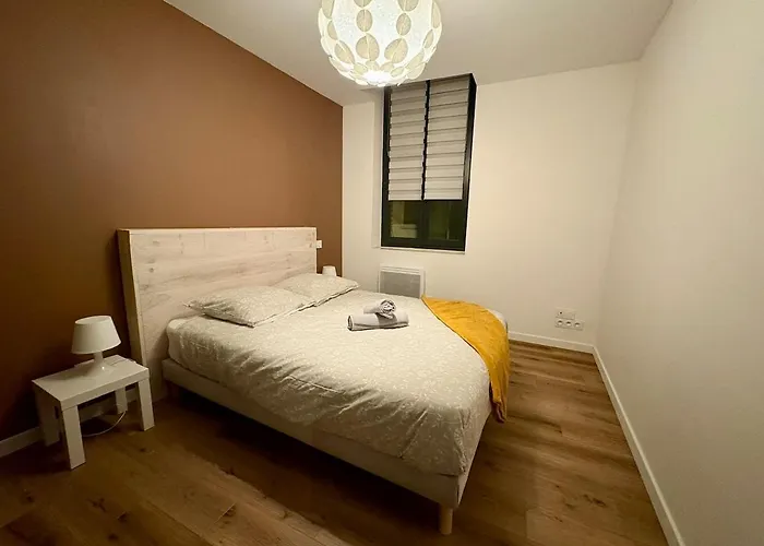 La Loge D'ingres - T3 Center & Hospital * Montauban