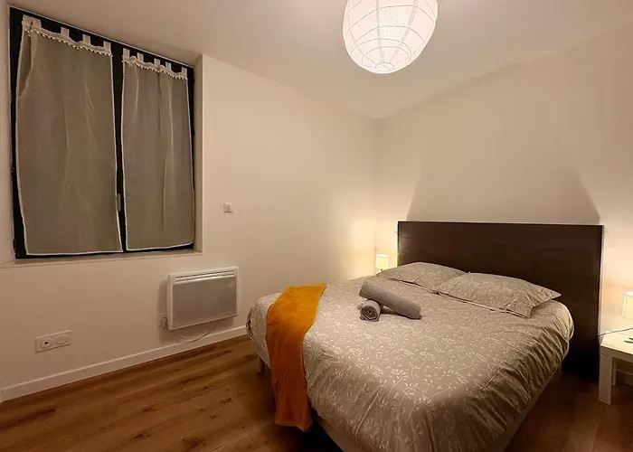 Apartmán La Loge D'ingres - T3 Center & Hospital *