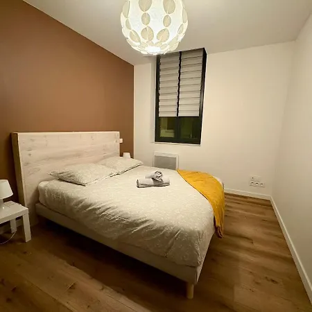 La Loge D'ingres - T3 Center & Hospital * Montauban