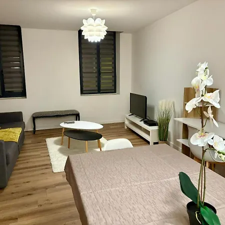 アパート La Loge D'ingres - T3 Center & Hospital モントーバン