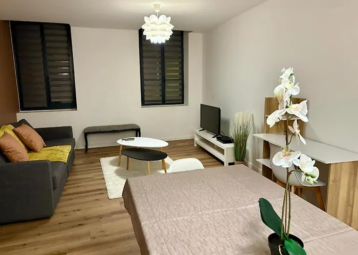 דירה La Loge D'ingres - T3 Center & Hospital מונטובן